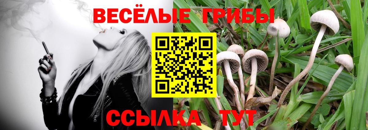 Галлюциногенные грибы Magic Shrooms Воронеж